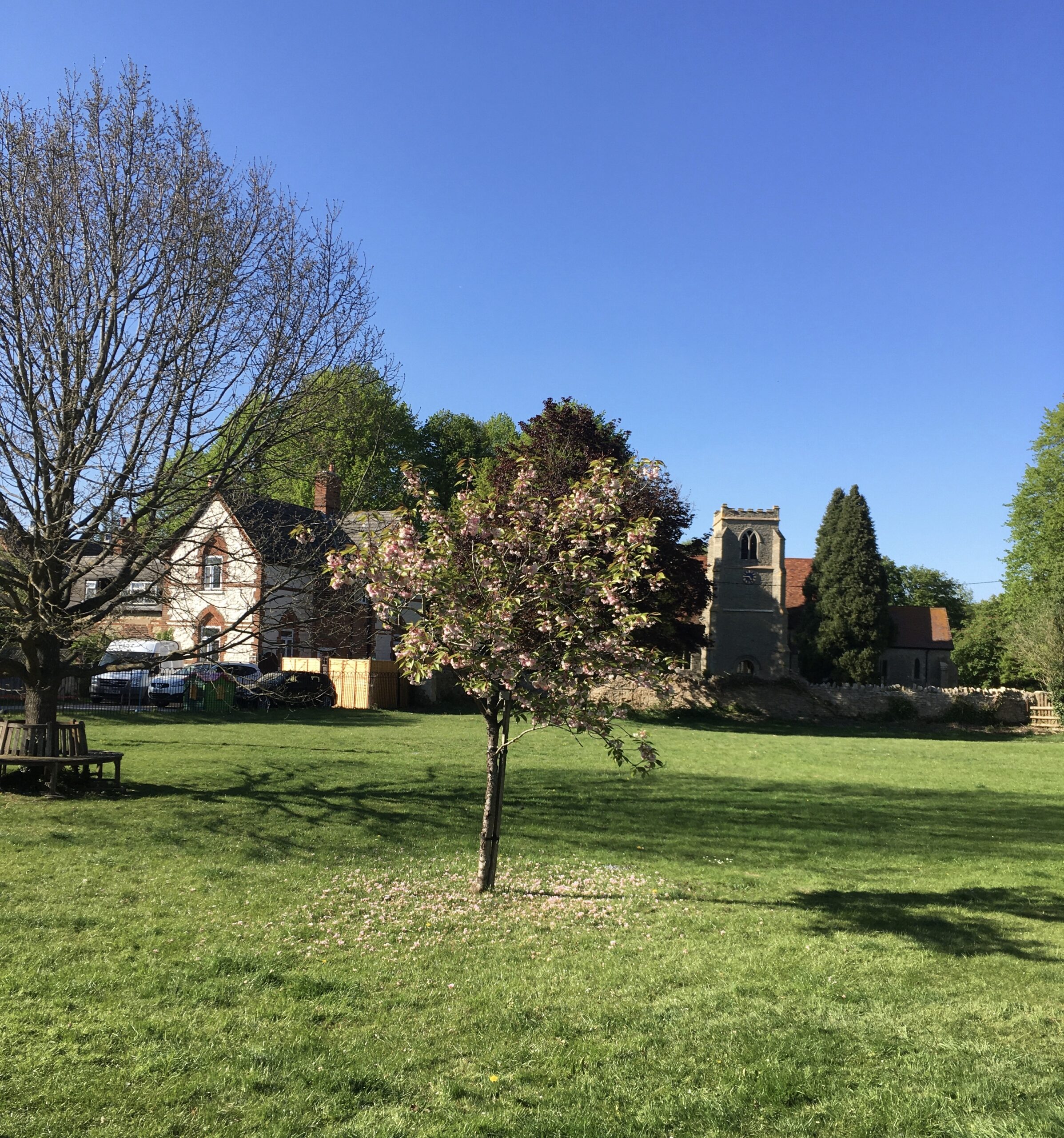 Towersey Village Green